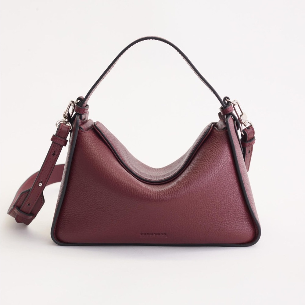 The Horse Clementine in Burgundy